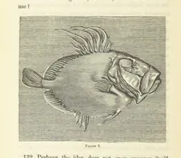 An illustration from Works. Popular edition.] 2 series (1886)