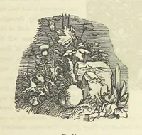 An illustration from Works. Popular edition.] 2 series (1886)