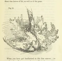 An illustration from Works. Popular edition.] 2 series (1886)