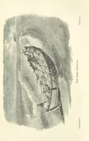 An illustration from Betwixt the Forelands. [Historical essays (1889)