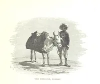 An illustration from The Prince of Wales' Tour: a diary in India; with some account of the visits ... to the Courts of Greece, Egypt, Spain, and Portugal ... With illustrations by S. P. Hall (1877)