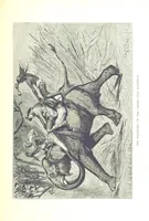 An illustration from The Prince of Wales' Tour: a diary in India; with some account of the visits ... to the Courts of Greece, Egypt, Spain, and Portugal ... With illustrations by S. P. Hall (1877)