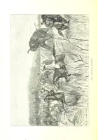An illustration from The Prince of Wales' Tour: a diary in India; with some account of the visits ... to the Courts of Greece, Egypt, Spain, and Portugal ... With illustrations by S. P. Hall (1877)