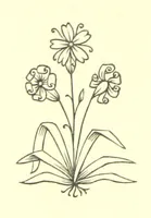 An illustration from England as seen by Foreigners in the days of Elizabeth and James the First. Comprising translations of the journals of the two Dukes of Wirtemberg in 1592 and 1610; both illustrative of Shakespeare. With extracts from the travels of foreign Princes and others, copious notes, an introduction, and etchings (1865)