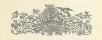 An illustration from The Complete Guide to Clevedon and its vicinity ... with notes on the natural history of the neighbourhood. By R. S. S. Illustrated (1879)