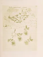 Picture 17 of 59 from Histoire de Saint-Bonnet-le-Chateau ... Ouvrage publié en collaboration par deux prêtres du diocèse de Lyon [James Condamin and François Langlois (1885), leaf 339