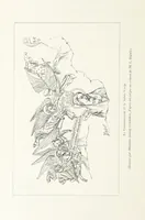 An illustration from Histoire de Saint-Bonnet-le-Chateau ... Ouvrage publié en collaboration par deux prêtres du diocèse de Lyon [James Condamin and François Langlois (1885)