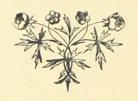 An illustration from St. Nicholas' Hill and other sketches. Selected from the folio of an old Ennuyé [John Staunton (1868)