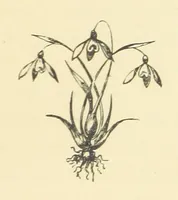 An illustration from St. Nicholas' Hill and other sketches. Selected from the folio of an old Ennuyé [John Staunton (1868)