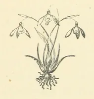 An illustration from The Poor Clerk and his Crooked Sixpence (1874)