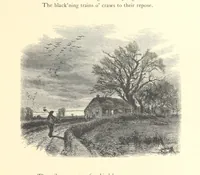 Picture 35 of 73 from Festival of Song: a series of Evenings with the Poets. Prepared by the author of “Salad for the Solitary” ... (F. Saunders). With ... pictures by Members of the National Academy of Design. Engraved by Bobbett and Hooper (1866), leaf 165