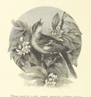 An illustration from Festival of Song: a series of Evenings with the Poets. Prepared by the author of “Salad for the Solitary” ... (F. Saunders). With ... pictures by Members of the National Academy of Design. Engraved by Bobbett and Hooper (1866)