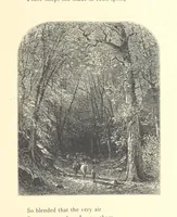 An illustration from Festival of Song: a series of Evenings with the Poets. Prepared by the author of “Salad for the Solitary” ... (F. Saunders). With ... pictures by Members of the National Academy of Design. Engraved by Bobbett and Hooper (1866)