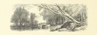 An illustration from Festival of Song: a series of Evenings with the Poets. Prepared by the author of “Salad for the Solitary” ... (F. Saunders). With ... pictures by Members of the National Academy of Design. Engraved by Bobbett and Hooper (1866)