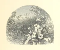 An illustration from Festival of Song: a series of Evenings with the Poets. Prepared by the author of “Salad for the Solitary” ... (F. Saunders). With ... pictures by Members of the National Academy of Design. Engraved by Bobbett and Hooper (1866)