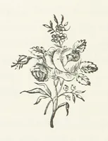 An illustration from The Sherlocks. [A novel (1879)
