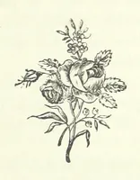 An illustration from The Sherlocks. [A novel (1879)