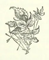 An illustration from The Sherlocks. [A novel (1879)