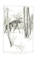 Picture 6 of 7 from Beautiful Joe: the autobiography of a dog ... New edition (1894), leaf 191