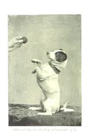 Picture 4 of 7 from Beautiful Joe: the autobiography of a dog ... New edition (1894), leaf 84