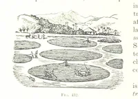 An illustration from Handbook of Metallurgy ... Translated by H. Louis (1898)