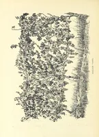 An illustration from Tuscan Studies and Sketches. ... Illustrated (1887)