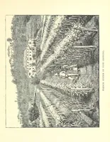An illustration from Tuscan Studies and Sketches. ... Illustrated (1887)