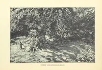 An illustration from Tuscan Studies and Sketches. ... Illustrated (1887)