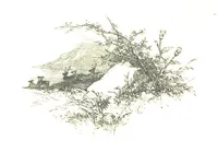 An illustration from The Poetical Works of Sir Walter Scott ... With a memoir of the author. Illustrated by many engravings, etc (1857)
