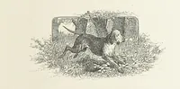 An illustration from The Lay of the Last Minstrel. By Sir Walter Scott. With notes and a chronological summary of his life, and index (1887)