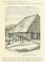 Picture 19 of 50 from The Black Forest, its people and legends. [With maps and illustrations (1879), leaf 175