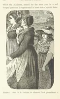 Picture 28 of 50 from The Black Forest, its people and legends. [With maps and illustrations (1879), leaf 234