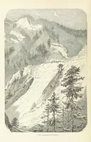 An illustration from The Black Forest, its people and legends. [With maps and illustrations (1879)