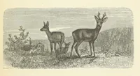 An illustration from The country of the Passion-play. The Highlands and Highlanders of Bavaria (1880)