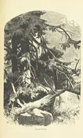 An illustration from The country of the Passion-play. The Highlands and Highlanders of Bavaria (1880)