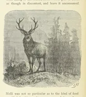 An illustration from The country of the Passion-play. The Highlands and Highlanders of Bavaria (1880)