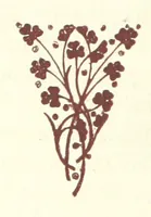 An illustration from An Open Foe. A romance (1884)