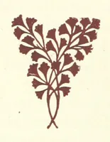 An illustration from An Open Foe. A romance (1884)