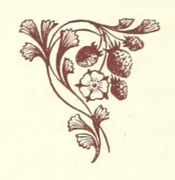An illustration from An Open Foe. A romance (1884)