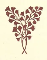 An illustration from An Open Foe. A romance (1884)