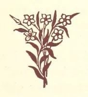 An illustration from An Open Foe. A romance (1884)