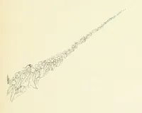 Picture 145 of 157 from The Child World. [In verse.] ... Illustrated by C. Robinson (1896), leaf 177