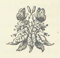 An illustration from Chums: a tale for the youngsters. Illustrated, etc (1878)