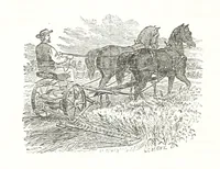 An illustration from Sheppard's Shippers' Guide to the South and West, embracing twenty-three states, Ohio, Indiana, Illinois, etc (1867)