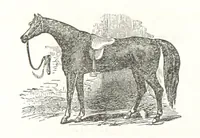 An illustration from Sheppard's Shippers' Guide to the South and West, embracing twenty-three states, Ohio, Indiana, Illinois, etc (1867)