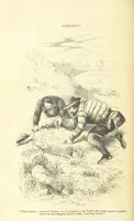An illustration from Adventures of a Gold-Digger ... Illustrated, etc. [A reissue of “The Gold-Finder of Australia.” (1856)