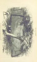 An illustration from Adventures of a Gold-Digger ... Illustrated, etc. [A reissue of “The Gold-Finder of Australia.” (1856)