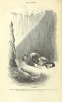 An illustration from Adventures of a Gold-Digger ... Illustrated, etc. [A reissue of “The Gold-Finder of Australia.” (1856)