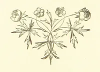 An illustration from Daily Help for Daily Need. A selection of Scripture verses and poetry for every day in the year. Edited by M. E. Shipley (1873)