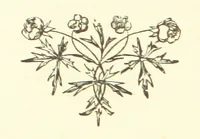 An illustration from Daily Help for Daily Need. A selection of Scripture verses and poetry for every day in the year. Edited by M. E. Shipley (1873)
